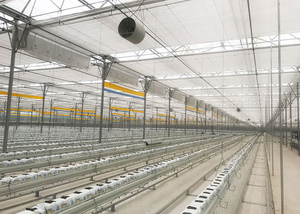 Nấm Farming thiết bị thông minh nấm phát triển container hệ thống - Product Image 3