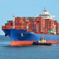 Agent maritime transitaire : Service de fret maritime de la Chine vers l'Afrique (Sénégal, Cameroun, Dakar, Douala, Durban) FCL DDP DDU Porte-à-Porte