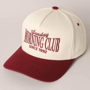 Casquettes de baseball et de football personnalisées avec logo, 6 panneaux, visière incurvée, effet vintage, respirantes, ajustables, pour sports de plein air, style « Dad Hat » - Product Image 6