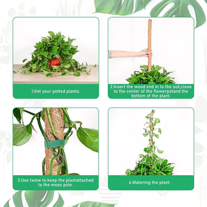 Poteau de soutien pour plantes en fibre de coco 100% naturelle, écologique, rétient l'humidité, pour fleurs et plantes vertes - Product Image 2