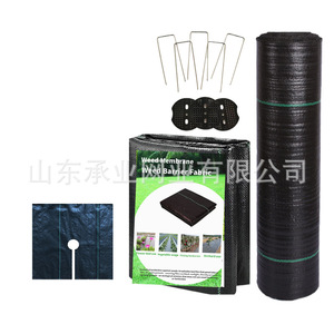Chengye Weed Barrier Fabric 100x200cm Black Woven Garden Cover <b>For</b> Agricultural Planting And Orchard Use - Product Image 5