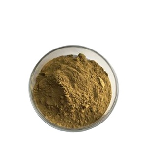 Kunstmatige Aanplant Epimedium Leaf <span class=keywords><strong>Extract</strong></span> Poeder Food-Grade Organische <span class=keywords><strong>Yin</strong></span> <span class=keywords><strong>Yang</strong></span> <span class=keywords><strong>Huo</strong></span> Uv Test Icariin 10% Hplc Drumverpakking - Product Image 1