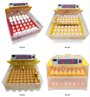 Vente chaude 2024 36 48 56 96 pièces Incubateur d'œufs mini entièrement automatique à double alimentation Incubateurs d'œufs de volaille