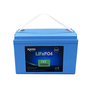 Deep Cycle Oplaadbare Lithium Batterij 12V 100AH 200Ah 24V 100AH LiFePO4 Batterij Met Lcd