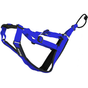 Arnés para perros, accesorio personalizado, duradero, suave y ajustable - Product Image 5