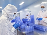 Barquette d'emballage sous blister médical jetable pour implants dentaires