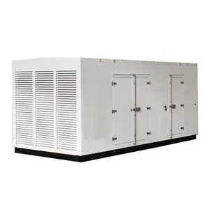 Generador diésel de gran potencia, generador eléctrico de 1000kw, 1250kva, 50hz, 60hz, tipo contenedor, 1 mw, precio de fábrica