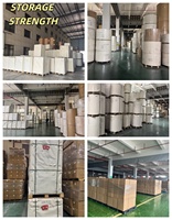 Rouleau de papier kraft simple couché PE de haute qualité 180gsm-350gsm Fabriqué en Chine