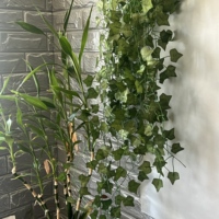 2 mètres de feuille de vigne en plastique vert Vigne artificielle Maison Anniversaire Mariage Décoration Haute Simulation Protection de l'environnement