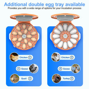Incubateur à œufs de poulet 15 œufs Tourneur automatique Contrôle numérique de la température LED Candler Fenêtre transparente Pour volaille domestique - Product Image 2
