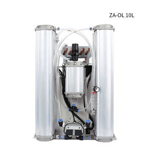 Zeao Oxigênio Planta Alta Qualidade Gerador De Oxigênio Tempo De Longa Vida 110 Soldagem 10l - Product Image 6