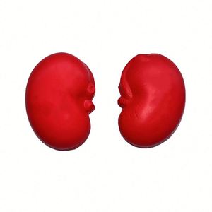 Ballon anti-stress en mousse PU en forme de rein humain, cadeau promotionnel en gros - Product Image 2