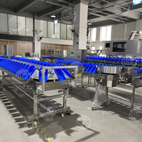 Weeg- en sorteermachine voor verpakte voedingsmiddelen voor drakenvruchten, ananas, meloen, gouden pomfret en inktvis