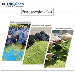 Üreticinin doğrudan satış verimli şeker kamışı saman kırıcı, kuru ve ıslak yem kırıcı, bambu kırıcı - Product Image 2