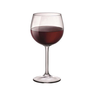 Copa de Degustación Bormioli Rocco Riserva Barolo 48 cl H 19.6 cm Ø 8.2 cm - Product Image 1