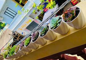 Maceta espiral de plástico colorida para decoración interior y exterior, ligera, perfecta para decoración interior y exterior - Product Image 6