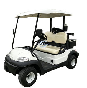 AC Drive Luxury Two <b>Passenger</b> Golf Sightseeing Electric Buggy for Hotel Villa and Golf Course Patrol - Product Image 4