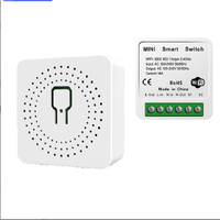 Mini commutateur intelligent WiFi 2 voies relais 16A capacité Google Home Alexa Compatible Cozylife App pour télécommande minuterie maison