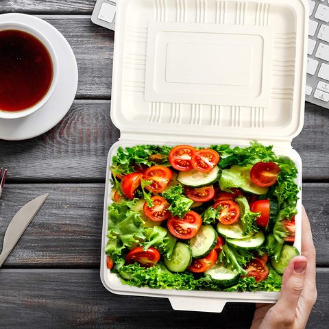 Biodegradable rice salad soup noodle ramen disposable bowls with lid
