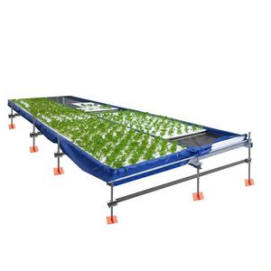 Plant Growing Custom Sized Agricultural Equipment Construction Hydroponics System Complete Hydroponics System - Product Image 1
