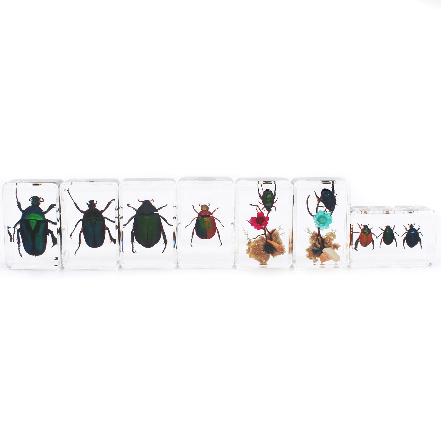 Прецизионные НАСЕКОМЫЕ из смолы, желтые насекомые, таксидермированные образцы, бумажное школьное оборудование, Обучающие принадлежности