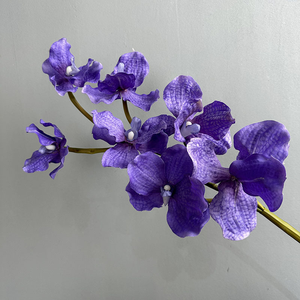 7 têtes Tactile <span class=keywords><strong>Vanda</strong></span> <span class=keywords><strong>Orchidée</strong></span> Fleurs Artificielles Haute Qualité Texture D'humidité Réaliste pour La Décoration Intérieure Mariage Halloween - Product Image 5