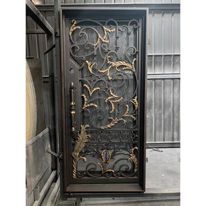 Portes en fer forgé, portes d'entrée doubles en acier, fer extérieur pour maison, métal, verre, design graphique moderne, antivol, manuel, 5 ans - Product Image 1