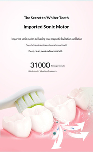 ขายส่งแปรงสีฟันไฟฟ้าสำหรับเด็ก IPX7 แบบชาร์จไฟได้ ขนแปรงนุ่มอัตโนมัติ - Product Image 5