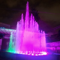 Fuente de Agua Musical y Danzante LED Comercial ShuiLiHua con Construcción de Acero Inoxidable, Diseño Tropical para Uso en Exteriores