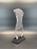 Bouclier en cristal personnalisé de récompense de plaque en cristal Customizcrystal Souvenir personnalisé cristal clair trophée verre Arts