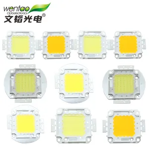 High Quality wholesale price 30W 50W Warm White Integrated COB Led chip of Epistar Chip for Panel Light Source and flood lamps