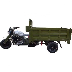 Tricycle à moteur à essence, refroidi par eau, pour le transport agricole de marchandises, tricycle cargo, moto de fret - Product Image 1