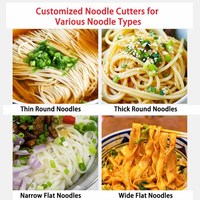 Machine à nouilles fraîches électrique intelligente automatique 220V, machine à faire des nouilles ramen instantanées pour restaurants et hôtels