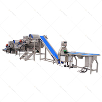 Hoogrenderende Industriële Fruit-En Groentesnijmachine Voor Verwerking En Verpakkingslijn Voor Het Wassen Van Groenten