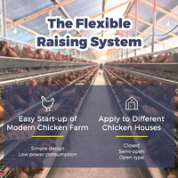 Équipement automatique à 4 niveaux pour 10 000 poules pondeuses, cage à batterie pour poulets de ferme
