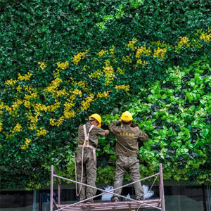 Al aire libre o <span class=keywords><strong>en</strong></span> la cubierta de plástico de plantas Artificial jardín <span class=keywords><strong>Vertical</strong></span> <span class=keywords><strong>pared</strong></span> verde Verde Sistema de <span class=keywords><strong>pared</strong></span> - Product Image 6