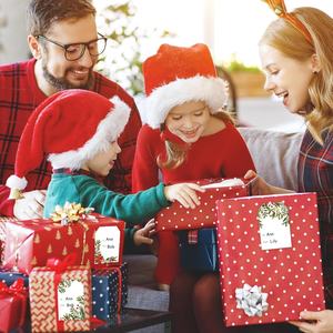 Etiquetas adhesivas con nombre de Navidad personalizadas, calcomanías de etiquetas autoadhesivas en blanco para tarjeta de cumpleaños de vacaciones de invierno - Product Image 6