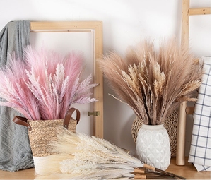 55cm/2ft Lifelike Faux Bulrush <b>Flowers</b> <b>Artificial</b> Factory Wholesale <b>Artificial</b> <b>Flowers</b> Real Touch Bulrush For Decor - Product Image 3