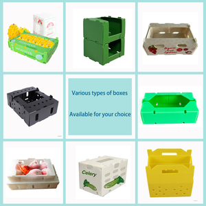Chất lượng cao cấp thực phẩm tấm <span class=keywords><strong>polypropylene</strong></span> rỗng cho nông nghiệp trái cây và rau bao bì hộp & doanh thu container - Product Image 4