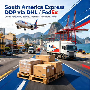 Spedizione Express DDP per il Sud America tramite DHL/FedEx, Cile/Paraguay/<span class=keywords><strong>Bolivia</strong></span>/<span class=keywords><strong>Argentina</strong></span>/Ecuador/Perù - Product Image 2