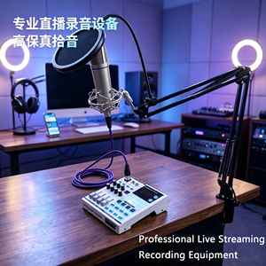 Professional Microphone &amp; Sound Card Kit for Karaoke Recording Live Streaming, Mic Stand Set with Audio <strong>Interface</strong> - Product Image 3
