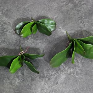 Plantes artificielles en verdure, feuilles d'<span class=keywords><strong>orchidée</strong></span> papillon, toucher réaliste, sensation de toucher réel pour la décoration de la maison et du bureau - Product Image 5