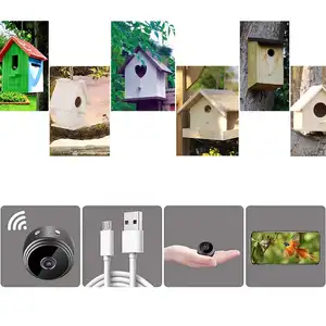 Factory Custom Verschiedene Formen App Control Holz vogelhaus mit 1080P AI Kamera Smart Hummingbird Villa