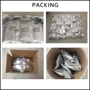 Wholesale Supply Feed Grade 60% Choline Chloride Powder CAS 67-48-1