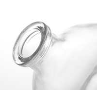 Bouteille de boisson en verre transparente de luxe en forme de gourde de 150 ml, 250 ml, 375 ml, 500 ml avec bouchon en verre pour jus, thé, vin