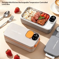 Boîte à lunch isotherme portable en acier inoxydable 304, chauffage sans eau, pour bureau et extérieur, capacité 0,3-0,8L