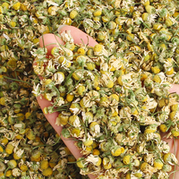 Bunga Chamomile Kering Alami Langsung dari Pabrik, Teh Herbal Bebas Bahan Tambahan, Planta Sendiri, Pasokan Grosir