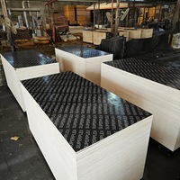 Contreplaqué de coffrage en bois d'eucalyptus E1 de 18 mm, filmé noir, résistant à l'eau, pour coffrage de poutres, meilleur prix