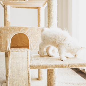 Mueble de Madera de Lujo para Gatos, Torre Resistente para Escalar con Cama Acogedora y Rascador para Múltiples Gatos, Suministros para Mascotas - Product Image 2