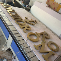 Letrero Luminoso 3D de Fábrica con Retroiluminación LED, Letrero Iluminado con Logotipo de Empresa, Letrero de Acrílico Metálico Dorado con Nombre de Tienda, Letrero Frontal Iluminado